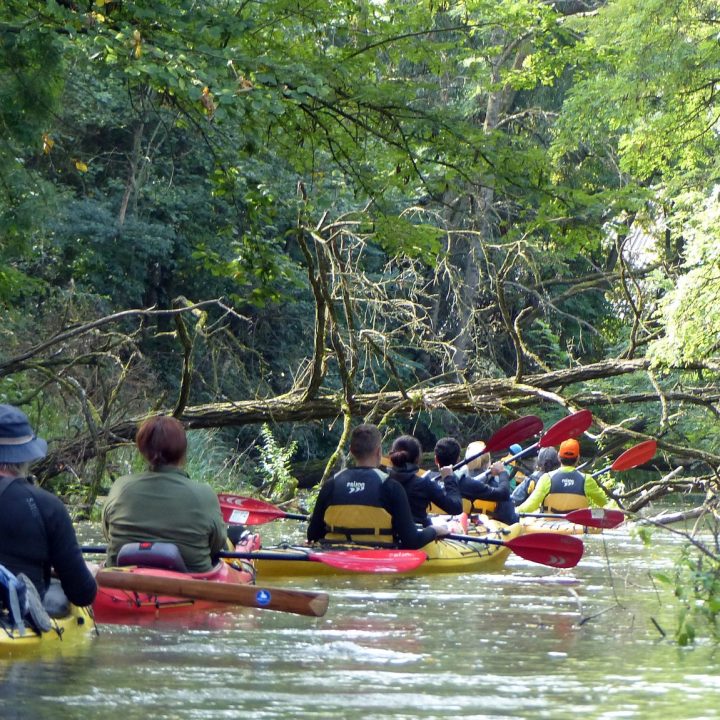 436419118_892548152672289_7933769718869296317_n (1)